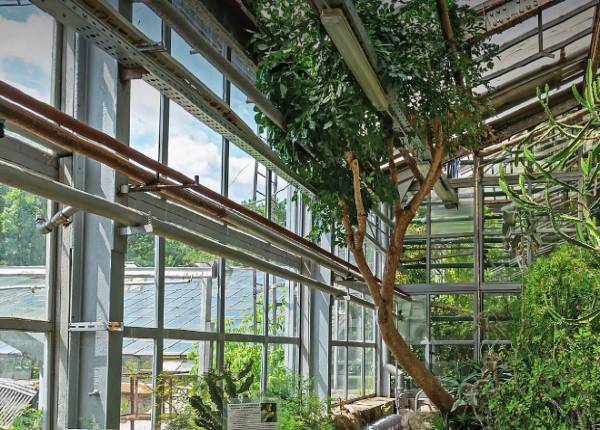 Зимний сад в городском парке в Королёве